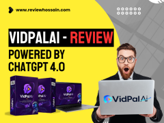 VidPalAi Review